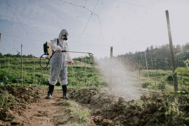 Best Best Pest Control Companies  in Duquesne, MO