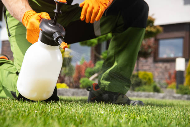 Best Rat Extermination Near Me  in Duquesne, MO