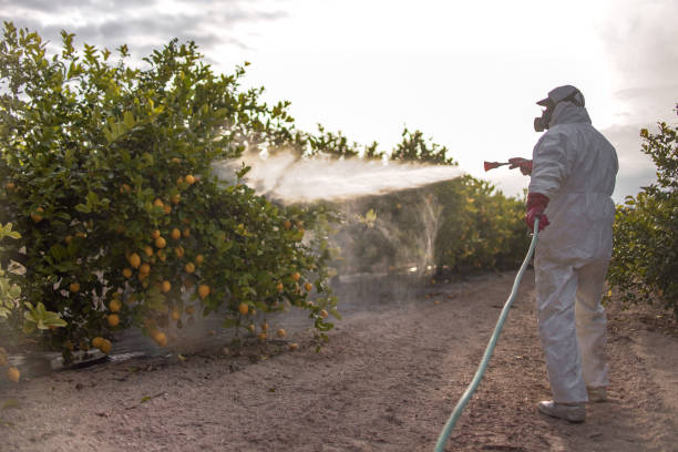Best Pest Removal Services  in Duquesne, MO