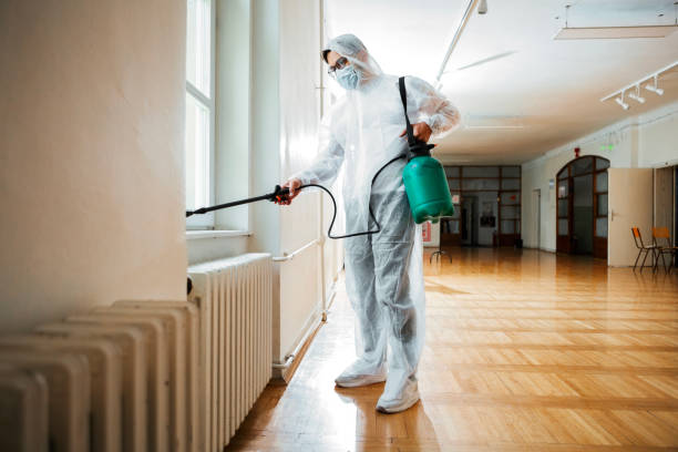 Best Pest Inspection Near Me  in Duquesne, MO