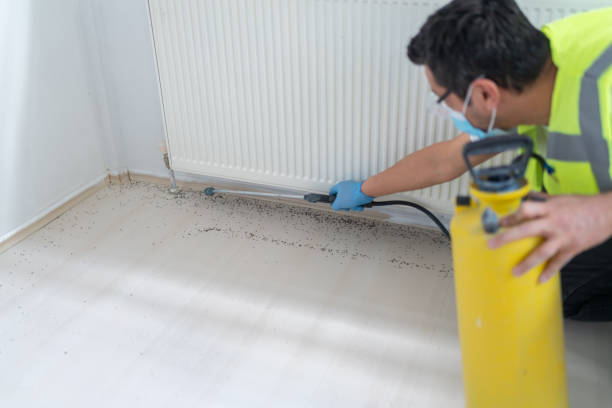 Best Bed Bug Extermination  in Duquesne, MO