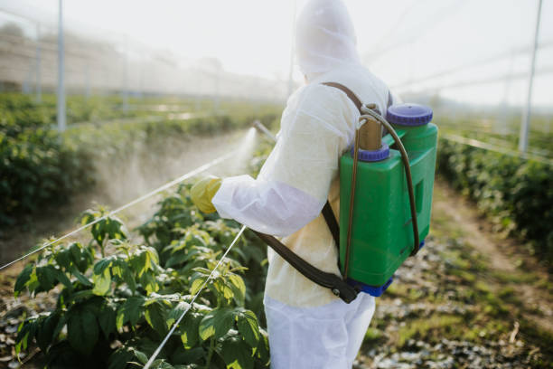 Best Flea Control Services  in Duquesne, MO